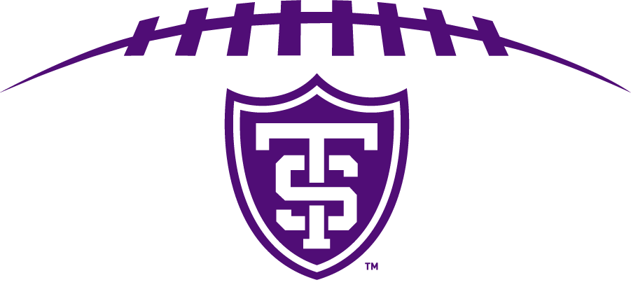 St. Thomas Tommies 2009-Pres Secondary Logo diy DTF decal sticker